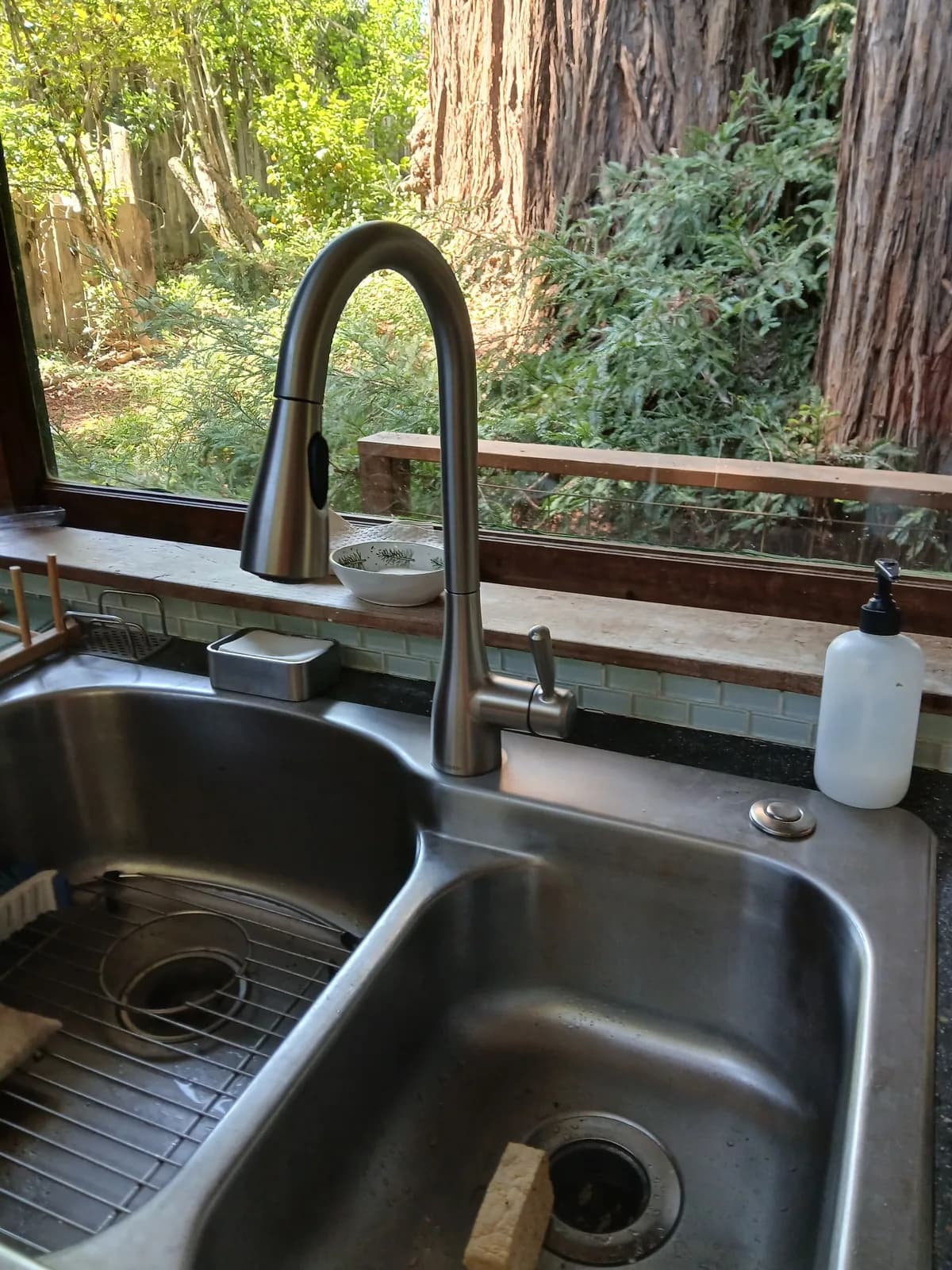 Kitchen Sink Overhaul Done Right in Occidental — Avanté Plumbing